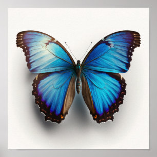 Blue Morpho Butterfly Art Impressão Poster