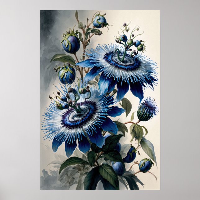 Blue Passion Flowers Art Impressão Poster (Frente)