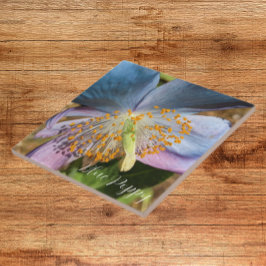 Blue Poppy Bloom Floral