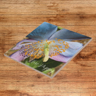 Blue Poppy Bloom Floral