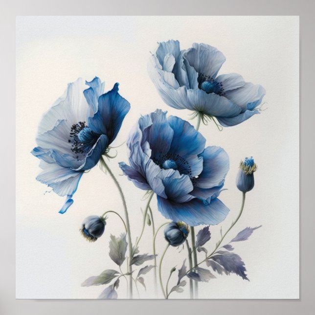 Blue Poppy Flowers Art Impressão (Frente)
