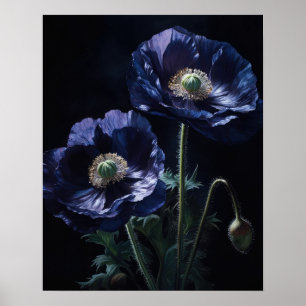 Blue Poppy Flowers Art Impressão
