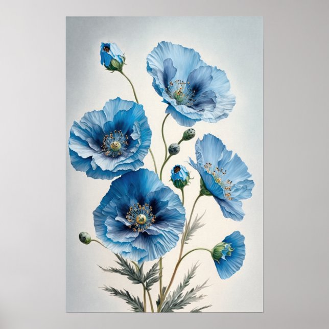 Blue Poppy Flowers Art Impressão (Frente)