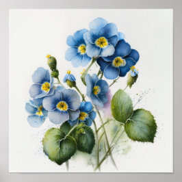 Blue Primrose Flowers Art Impressão
