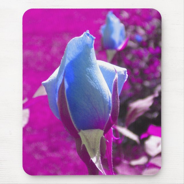Blue Rose Bud Mouse Pad (Frente)