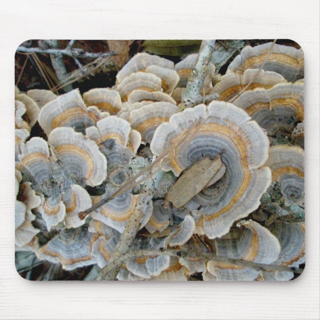 Blue Shelf Fungus OBX Mousepad (Frente)