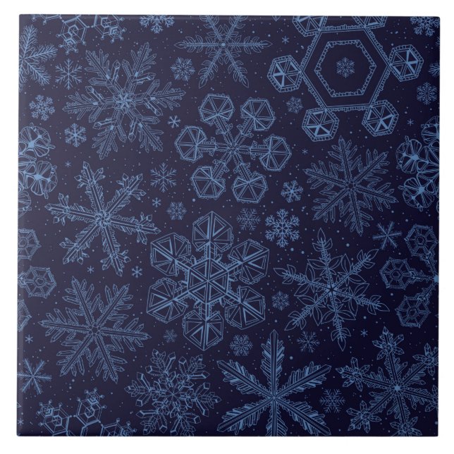 Blue Snowflakes on blue (Frente)