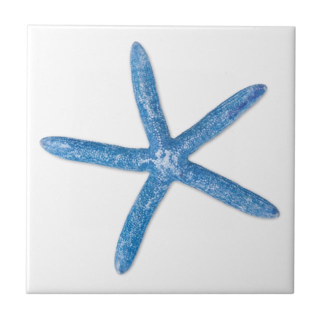Blue Starfish (Frente)