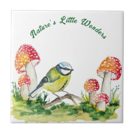 Blue Tit and Fly Agaric in a Forest Clearing