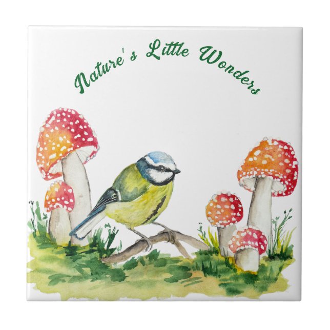 Blue Tit and Fly Agaric in a Forest Clearing (Frente)