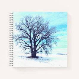 Blue Winter