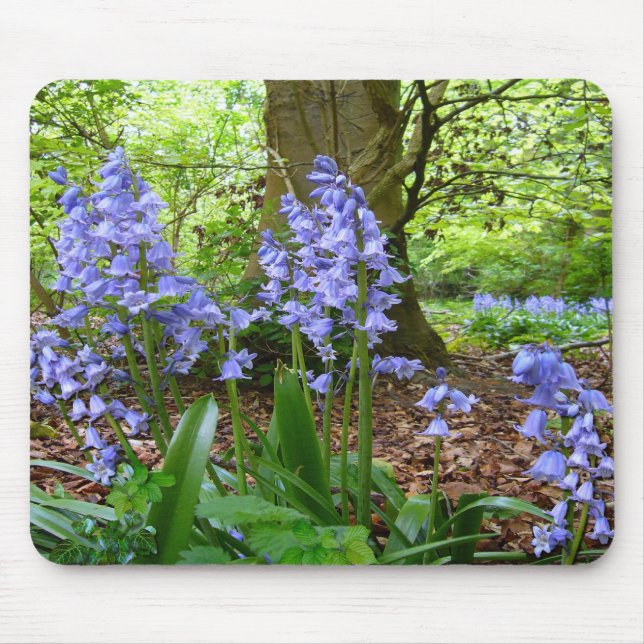 BLUEBELL WOOD ~ Mousepad # 3 (Frente)