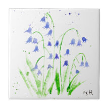 Bluebells aquarela azul floral bonito elegante c