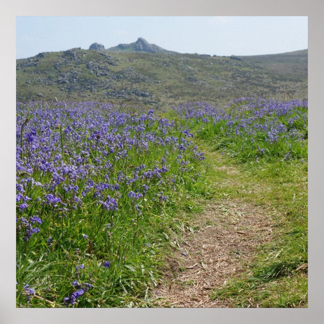 Bluebells e Hay Tor Poster (Frente)