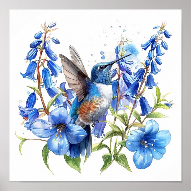 Bluebells Hummingbird Watercolor Impressão (Frente)