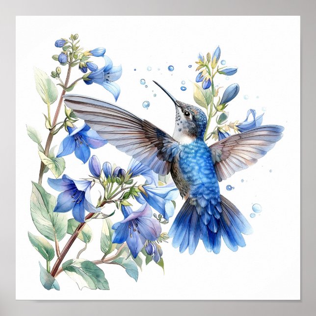 Bluebells Hummingbird Watercolor Impressão (Frente)