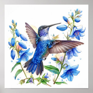 Bluebells Hummingbird Watercolor Impressão