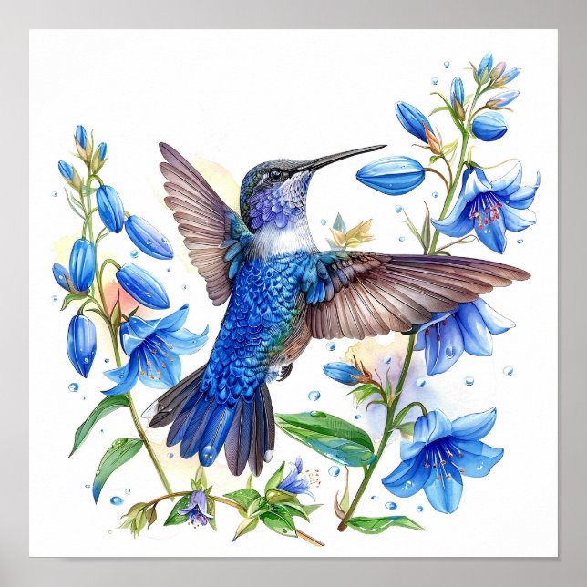 Bluebells Hummingbird Watercolor Impressão (Frente)