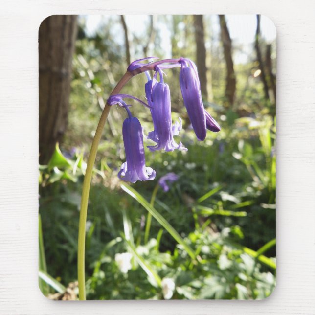 Bluebells Mousepad (Frente)