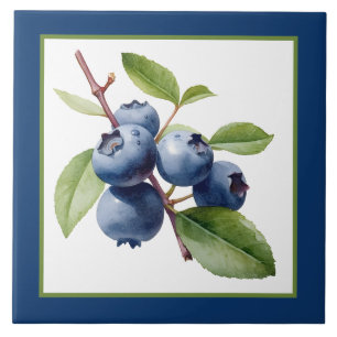 blueberry de fruta de artesanato