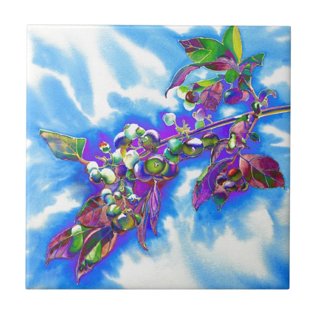 Blueberry Solar (Frente)