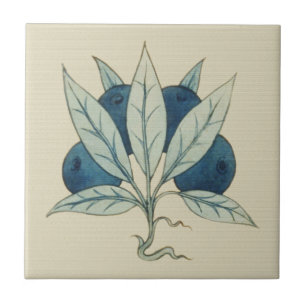 Blueberry William De Morgan