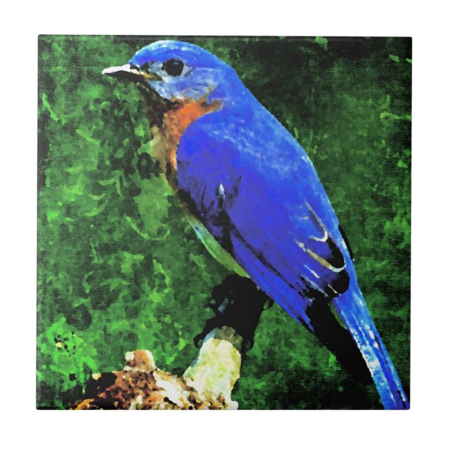 Bluebird (Frente)