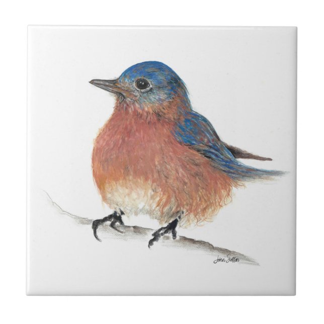 Bluebird Art (Frente)