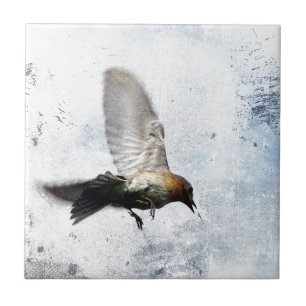Bluebird Grunge