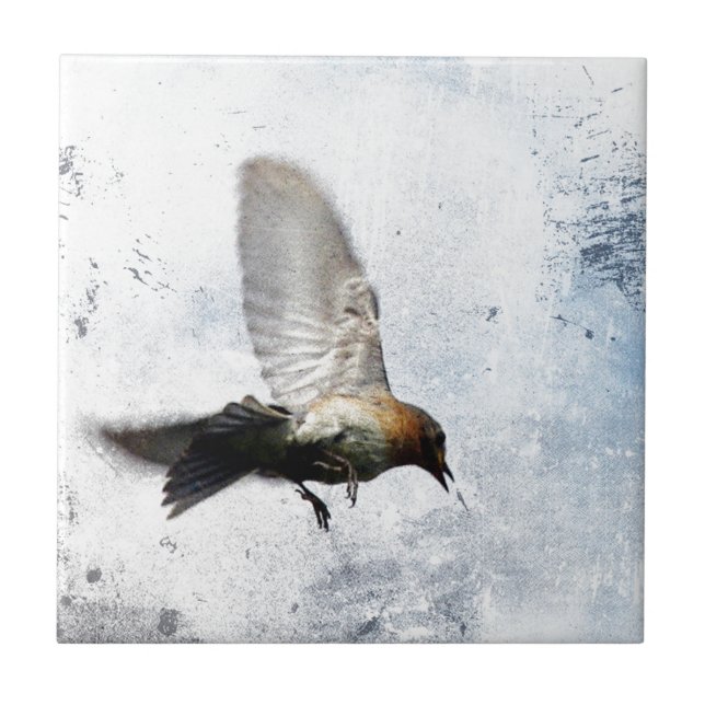 Bluebird Grunge (Frente)