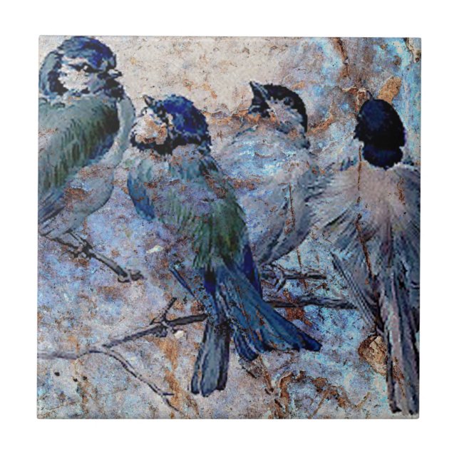 BLUEBIRD SOCIAL.jpg (Frente)
