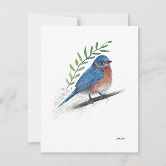 Bluebird Watercolor Art (Frente)