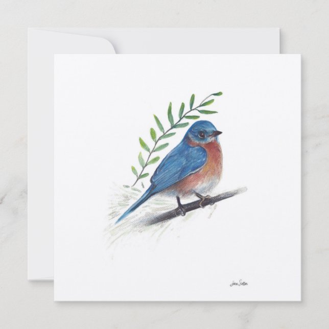 Bluebird Watercolor Art (Frente)