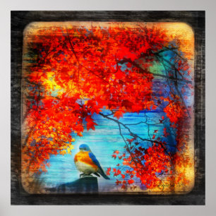 Bluebirds canção, poster