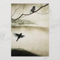 Bluebirds no convite do amor