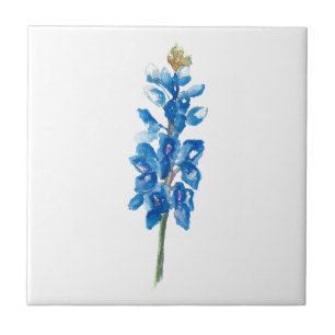 Bluebonnet 5