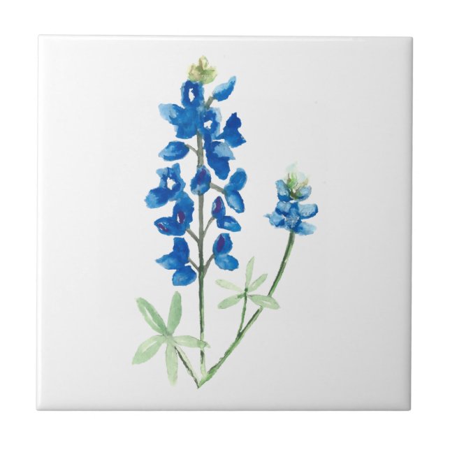 Bluebonnet 6 (Frente)