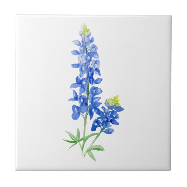 Bluebonnet 7 Ceramic Tile (Frente)