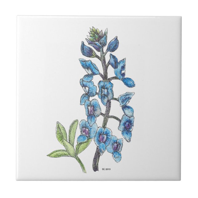 Bluebonnet em linha e Wash 1 Azulejo cerâmico (Frente)