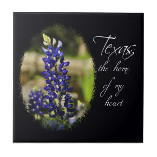 Bluebonnet "Texas a casa azulejo do meu coração"