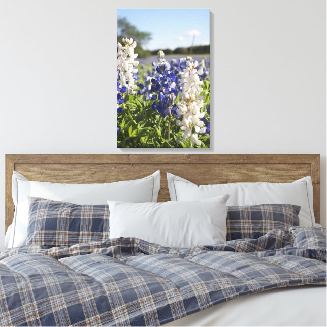 Bluebonnets Azul e Branco Fortalecendo a Canvas Wa (Insitu(Quarto))