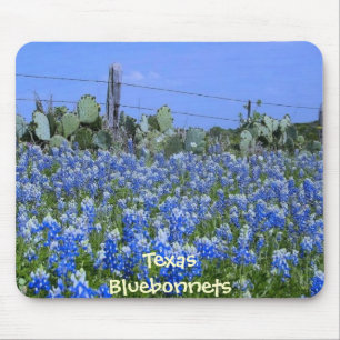 Bluebonnets & cacto de Texas na fazenda Mousepad
