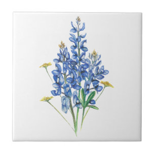 Bluebonnets e Wildflowers
