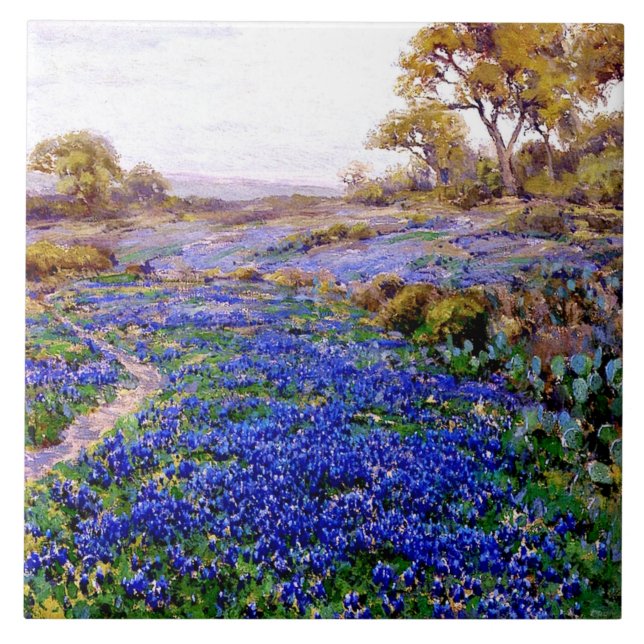 Bluebonnets em Twilight, norte de San Antonio, (Frente)