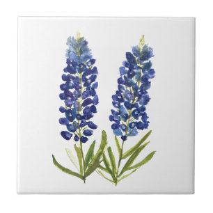Bluebonnets Texas State Flowers Lupine Watercolor