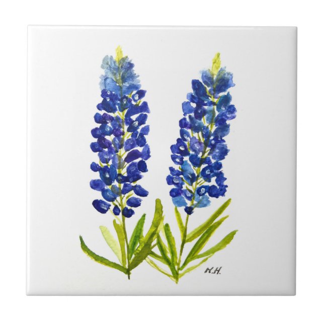 Bluebonnets Texas State Flowers Lupine Watercolor (Frente)