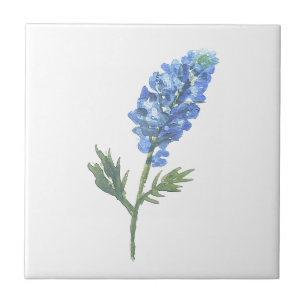 Bluebonnets Texas State Flowers Lupine Watercolor