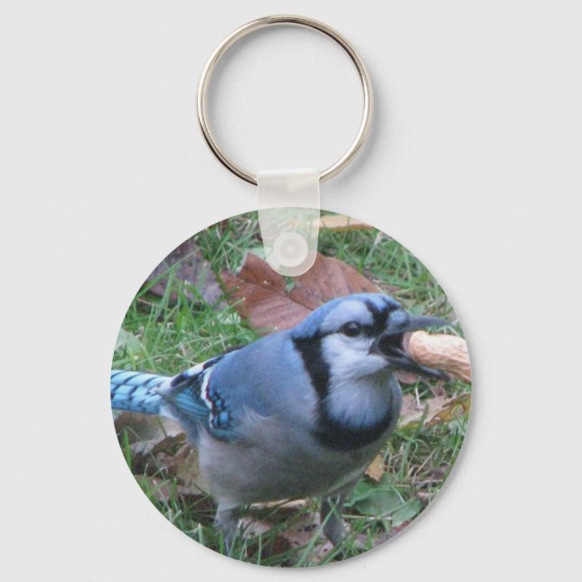 Bluejay Chaveiro por Koobear (Frente)