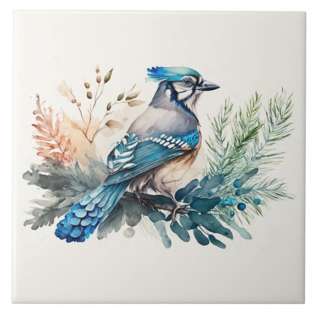 Bluejay em uma aquarela de ramificação (Frente)