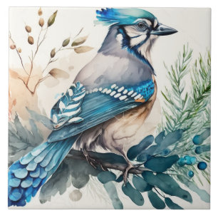 Bluejay em uma aquarela de ramificação